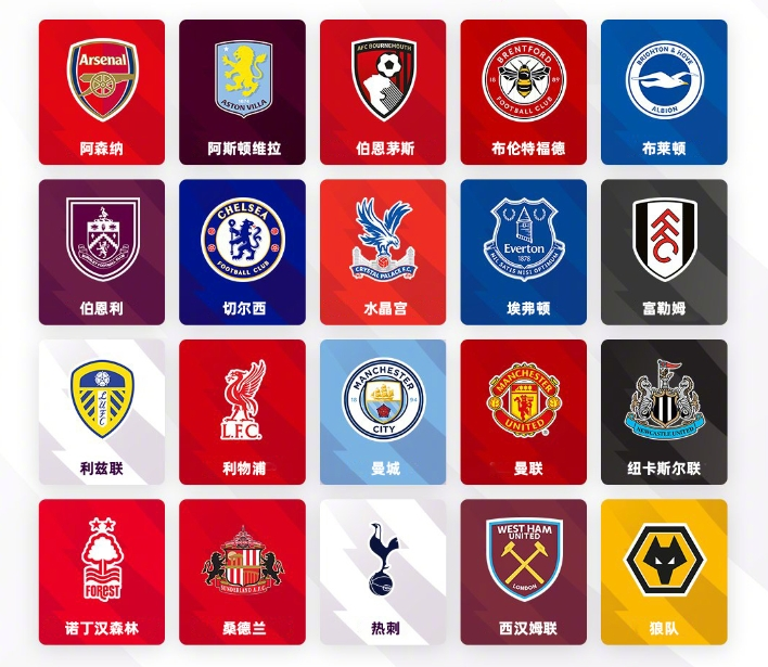 在国际赛场 在国际赛场