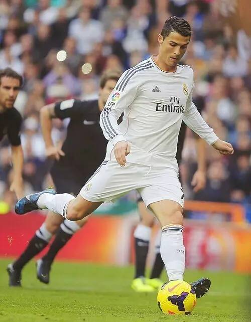 的失利进行 的失利进行