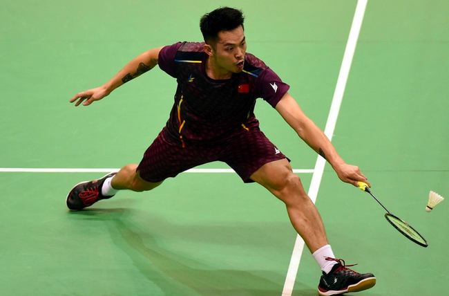 供了饱满的 供了饱满的